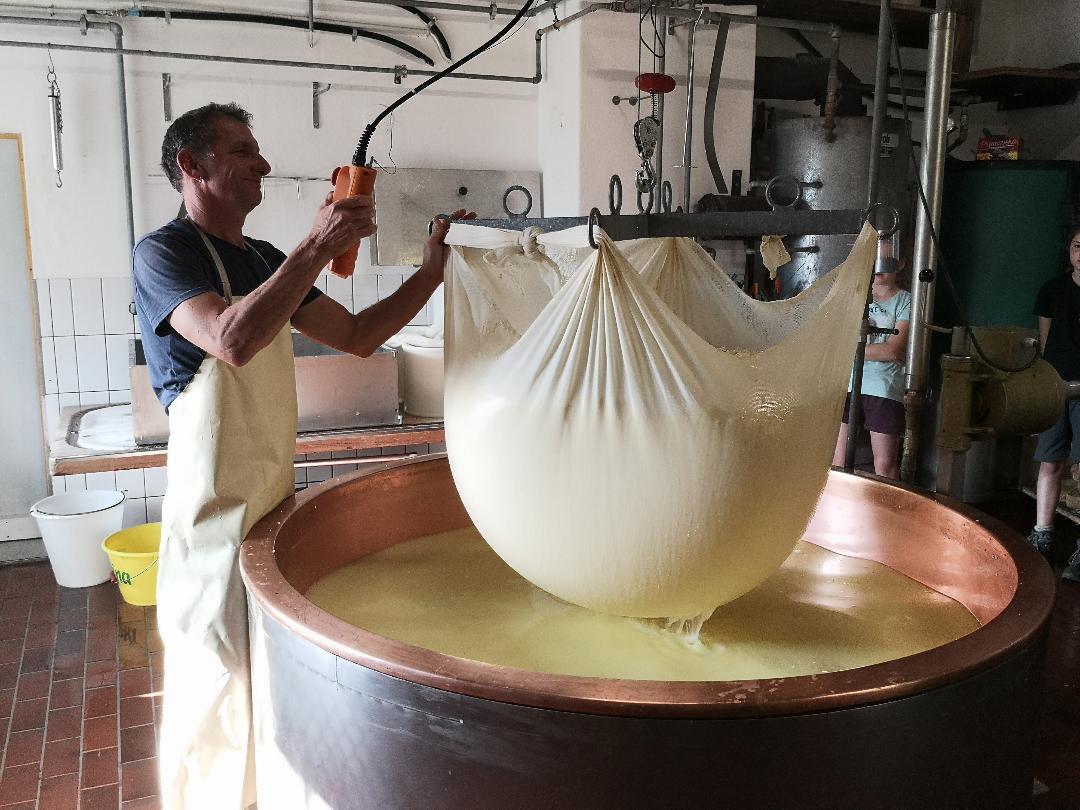 Käsereibesichtigung bei der Ringelspitzwanderung