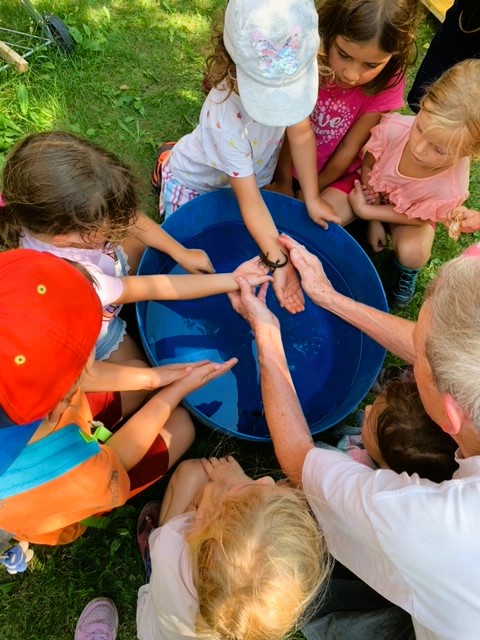 Frösche von Felsberg