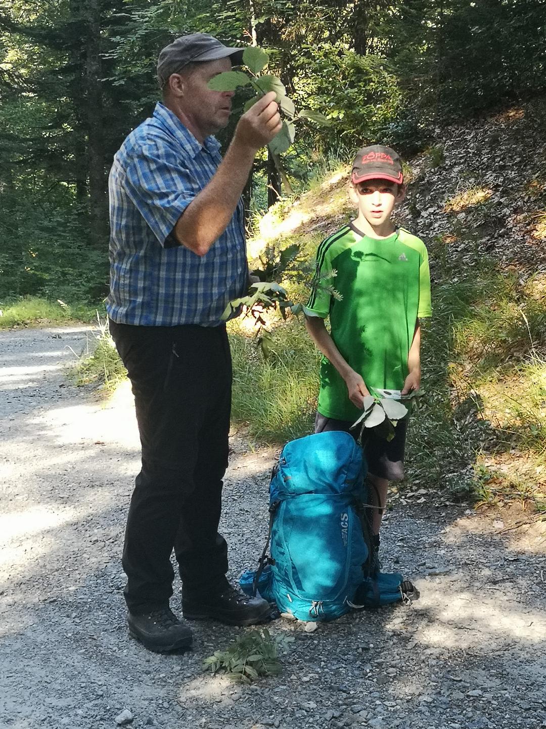 Ringelspitzwanderung