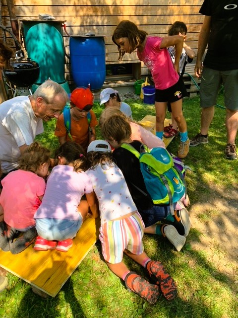 Frösche von Felsberg